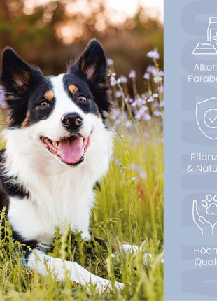 Brandlöscher Anti Juckreiz Spray für Hunde