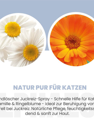 Brandlöscher Anti Juckreiz Spray für Katzen