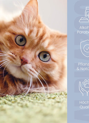 Brandlöscher Anti Juckreiz Spray für Katzen