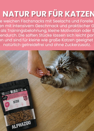 Butter Bei Die Fische!