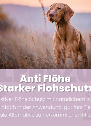 ByeByeVloh Flohspray für Hunde