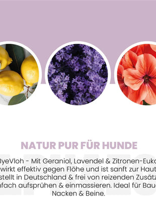 ByeByeVloh Spot-On für Hunde