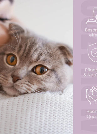 ByeByeVloh Spot-On für Katze