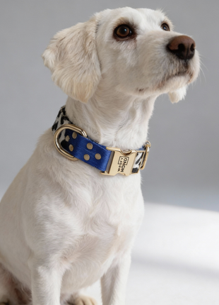 Halsband Blueberry