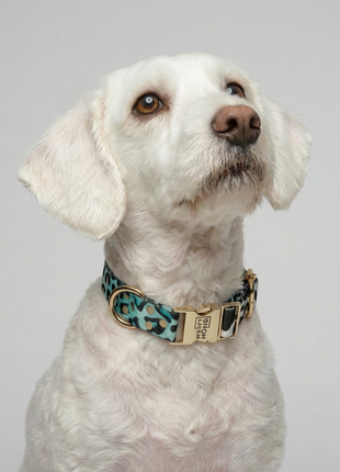 Halsband Aqua Camo