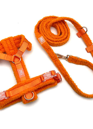 Hundegeschirr-Set Teddy Orange