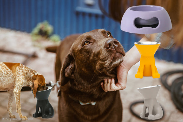 <h2>Premium Futternapf für stilvolle Fressplätze</h2>