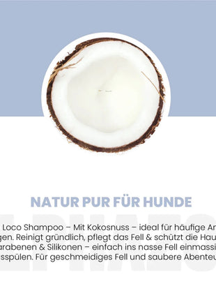 Coco Loco Shampoo für Hunde