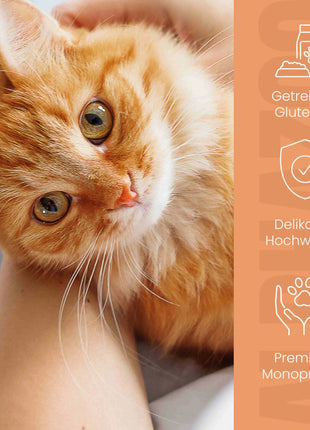 Ente + Huhn Nassfutter für Katze
