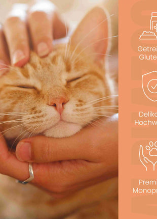 Monoprotein Huhn Nassfutter für Katze