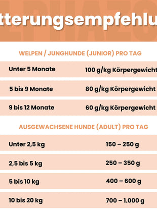 Angus Rind + Lamm Nassfutter für Adult Hunde