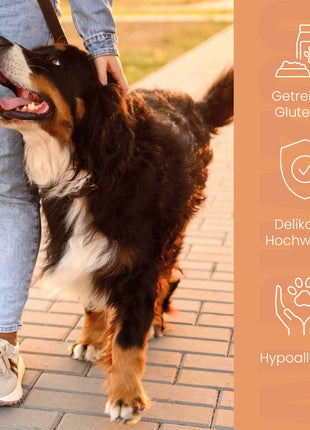 Monoprotein Huhn Nassfutter für Hunde