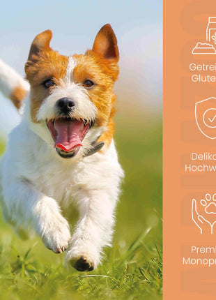 Kaninchen + Kalb Nassfutter für Senior Hunde