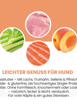 Lachs + Truthahn Nassfutter für Adult Hunde