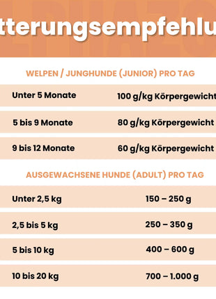 Lachs + Truthahn Nassfutter für Adult Hunde