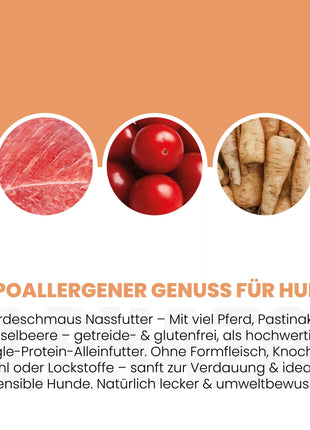 Monoprotein Pferd Nassfutter für Hunde