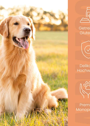 Wild + Rind Nassfutter für Adult Hunde