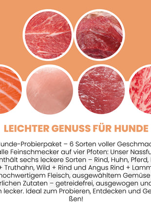 Probierschmaus Hund