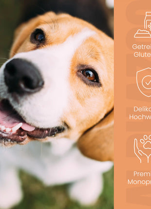 Probierschmaus Hund