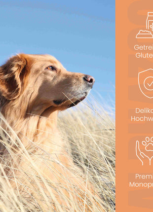 Monoprotein Rind Nassfutter für Hunde