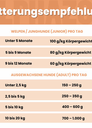 Monoprotein Rind Nassfutter für Hunde