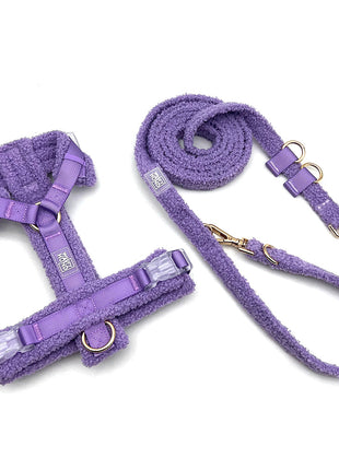 Hundegeschirr-Set Teddy Violett
