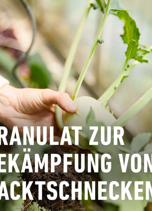 COMPO Schneckenkorn  gegen Nacktschnecken