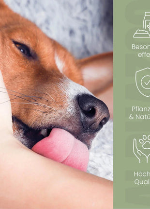 Darmonie Liquid für Hunde