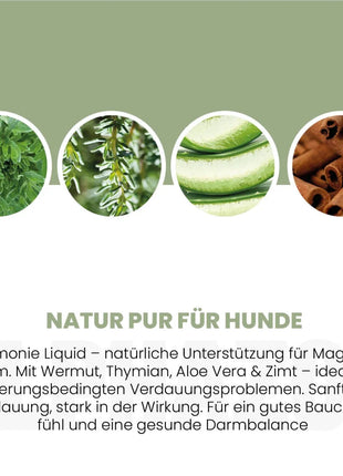 Darmonie Liquid für Hunde