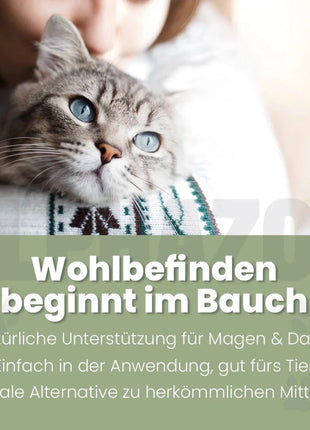 Darmonie Liquid für Katzen