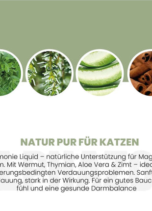 Darmonie Liquid für Katzen