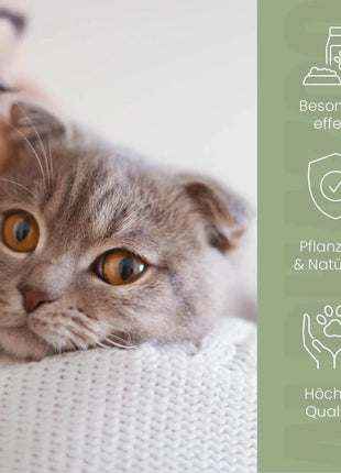 Darmonie Liquid für Katzen