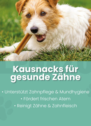 Zähne Zeigen Dentalstick
