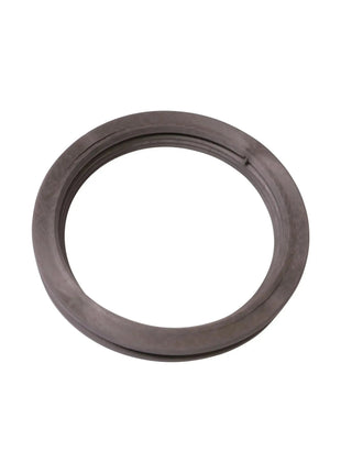 OASE Dichtung 100 BioTec 30 / 36 – Ersatzteil