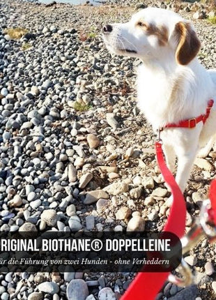 Double leash TECHTELMECHTEL made of BioThane®/Pop - Band