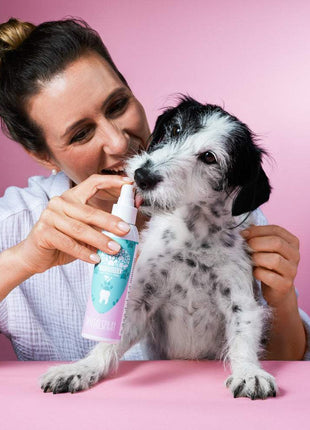 Natürliches Dentalspray zur Entfernung von Zahnstein von Tierliebhaber