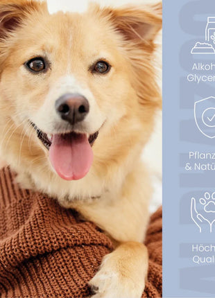 Durchblick Augenpflege für Hunde