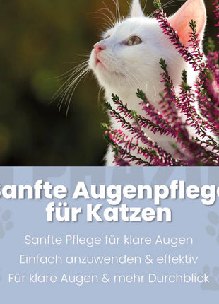 Durchblick Augenpflege für Katzen