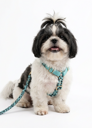 Hundegeschirr Aqua-Camo