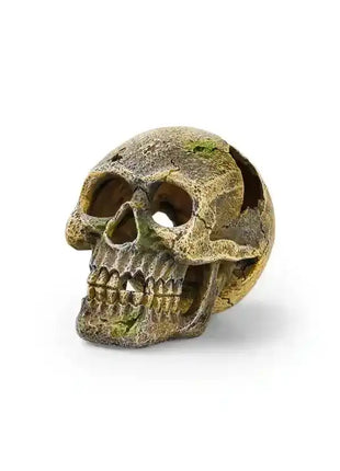EDEN Totenkopf