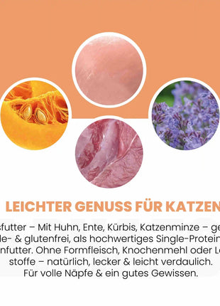 Ente + Huhn Nassfutter für Katze
