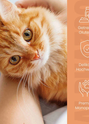 Ente + Huhn Nassfutter für Katze
