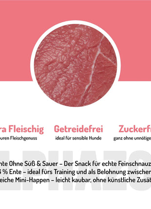 Ente Ohne Süß & Sauer