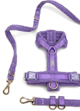 Hundegeschirr-Set Teddy Violett