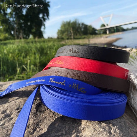 Wanderlust leash made of BioThane®/POP tape