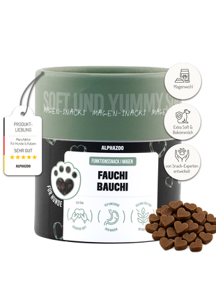 Fauchi Bauchi