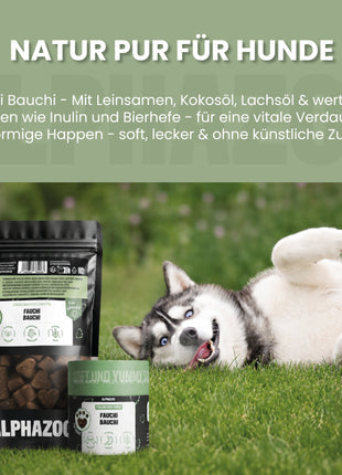 Fauchi Bauchi