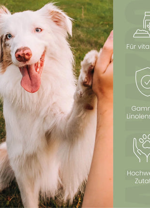 Fellliebe Futteröl für Hunde