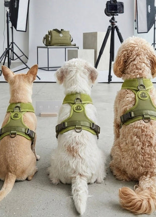 Hundegeschirr FORM – Premium