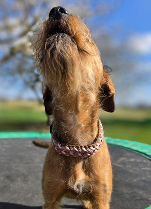 Handgemachtes Paracord-Hundehalsband "Spring Blush"